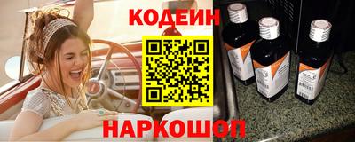 мдпв Кингисепп