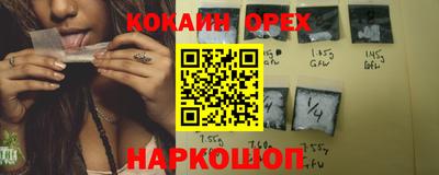 мдпв Кингисепп