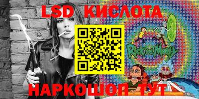 мдпв Кингисепп