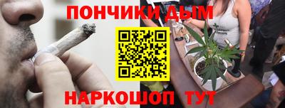 мдпв Кингисепп