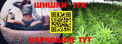 мдпв Кингисепп