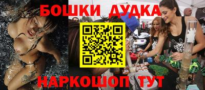 мдпв Кингисепп