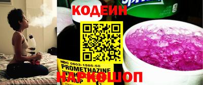 мдпв Кингисепп