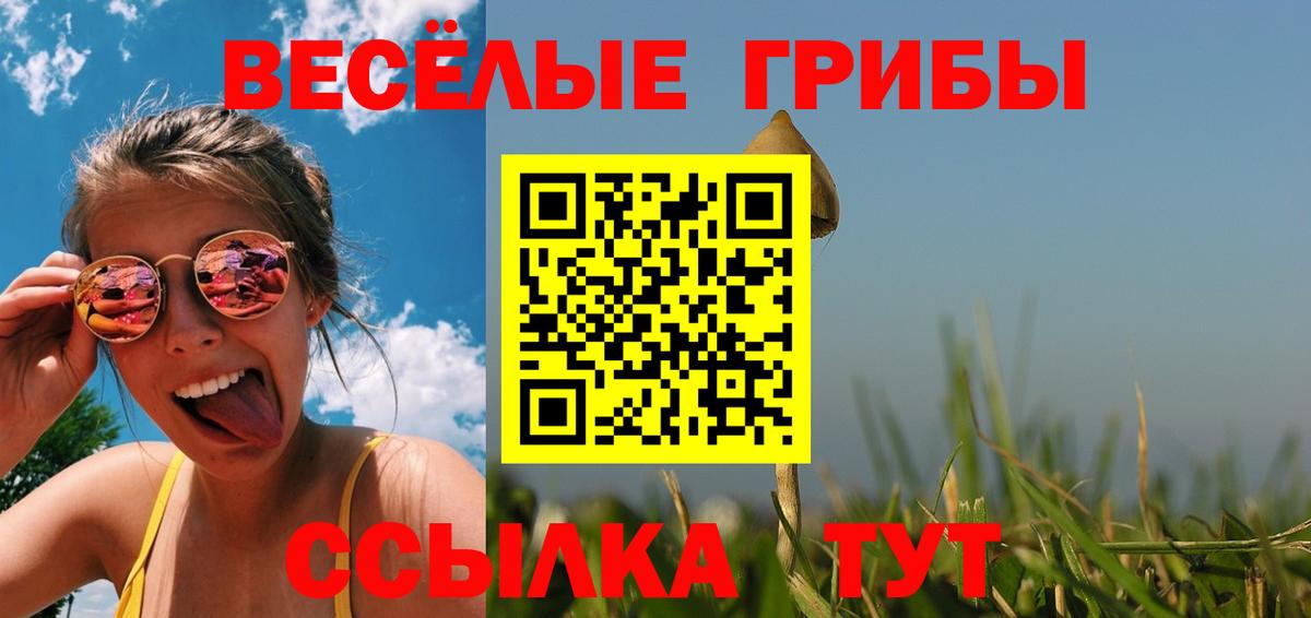 Псилоцибиновые грибы MAGIC MUSHROOMS  Вход с VPN  где купить наркоту  Галлюциногенные грибы Magic Shrooms  Армавир 